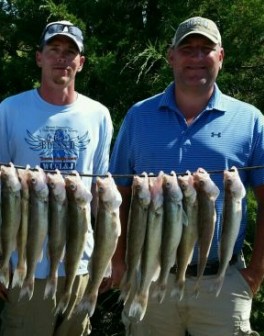 !cid_0eaa8160-dae0-42b0-ba21-86c19228ead5