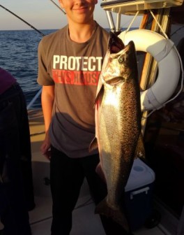 !cid_14ef4a38-0c52-48fa-ae55-7078996969de