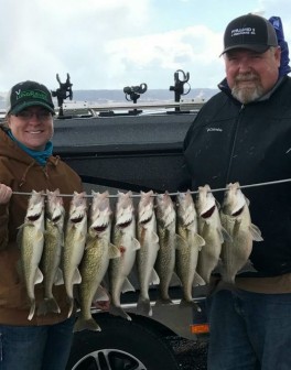 !cid_17fe80e3-2381-48a8-9067-2d64e44ef583