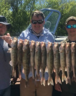 !cid_20KVTYhlQxD18k0QNgmB