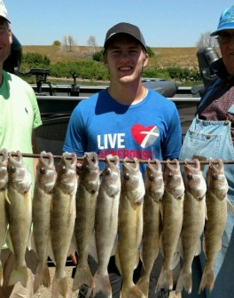 !cid_308cfdd3-9557-4687-80ed-1e8ee87285b2