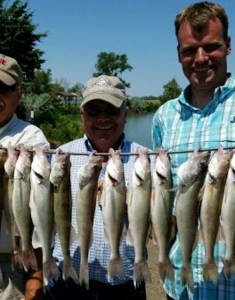 !cid_430041c4-dca8-497c-ab30-894860599364