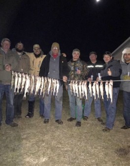 !cid_511660bb-db3e-49fe-a7b1-31c0eebc3d22