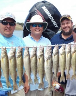 !cid_52898d35-91c6-47d2-bdd3-cf5c6e36f55d