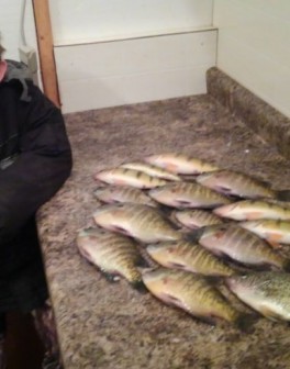 cid_08e0097a-5515-4a24-8a7f-a6bc4ec93231