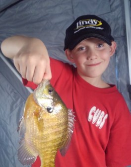 cid_385fafb1-a747-404d-ab44-b3d583387563