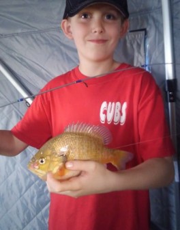 cid_499be9e2-1b41-4f25-9023-b063e8ca734b