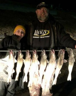 cid_67f69048-3695-427d-8dea-c57ba4cec7be